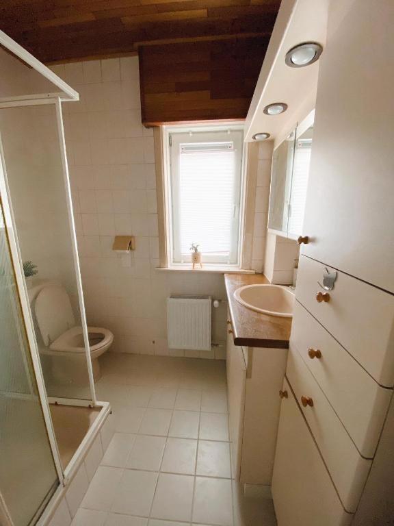 Big Sunset 2 Bedroom House With A Garden Antwerpen Exteriör bild